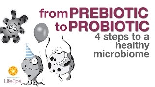 From Prebiotic to Probiotic 4 Steps to a Healthy Microbiome  John Douillards LifeSpa [upl. by Adliwa845]