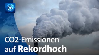 Weltweiter CO2Ausstoß erreicht Höchstwert [upl. by Lauter300]