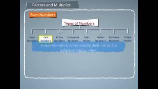 Types of Numbers even odd prime composite twin primes perfect coprime and prime triplets [upl. by Eidassac963]