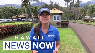 Maui Marathon returns but major changes are planned after wildfires [upl. by Kosey613]