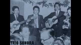 Navojoa 73 Trio Sonora [upl. by Razec]