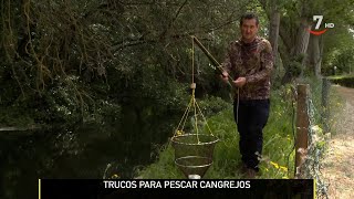 Los mejores trucos para pescar cangrejos  El campo al día [upl. by Aiel347]