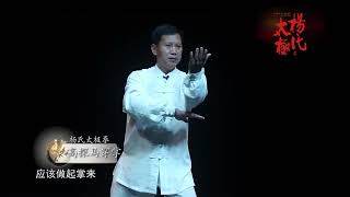 Traditional Yang Style Tai Chi form 48 High Strike Horse Palm Teaching and demo [upl. by Arimas592]