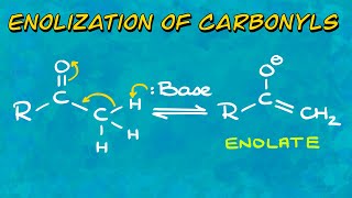 Enolization of Carbonyls Thermodynamic vs Kinetic Enolates [upl. by Rochella]