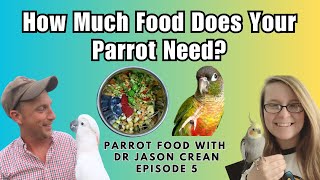 Parrot Food Portion Sizes  Parrot Food With Dr Jason Crean Episode 5  BirdNerdSophie [upl. by Saraann]