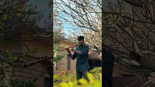 Paralogame En Sonthame  Jaya Flute  Tamil Christian Flute Cover tamilchristiansong cover [upl. by Ellened]