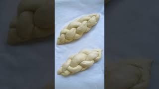 Bread Rising Time Lapse  Watch Bread Breathing Baking Therapy w Challah Bread Braiding [upl. by Gosselin351]