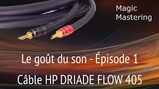 2024 HP DRIADE FLOW 405  Le goût du son 1 [upl. by Alaine]