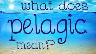 What does pelagic mean [upl. by Maer747]