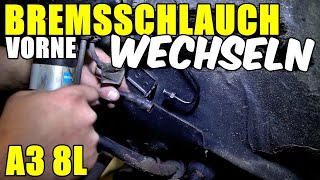 AUDI A3 8L BREMSSCHLAUCH VORNE WECHSELN TUTORIAL  ANLEITUNG [upl. by Nawor577]