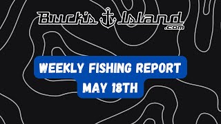 Fishing Report  May 18  Neely Henry Weiss Logan Martin Lay Guntersville Lake Martin Jordan [upl. by Barbe]