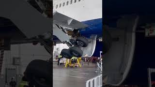 Boeing 767300 landing gear retraction [upl. by Onra]