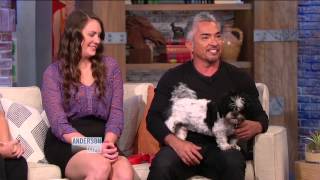 Dog Plays in Your Trash Cesar Millan on How to Stop It [upl. by Hamachi]