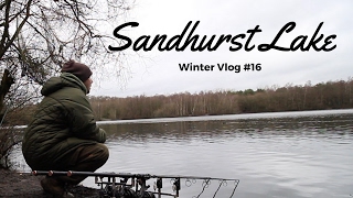 SANDHURST LAKE WINTER CARP FISHING  VLOG 16 [upl. by Aizitel]