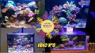 ESSE É MEU NANO REEF 2022  Vídeo nº8 [upl. by Margarida]