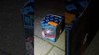 Argento Firlefanz feuerwerk silvester fireworks [upl. by Rhee805]