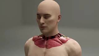 first head transplant system uses robotics and AI for head and face transplants [upl. by Kera]