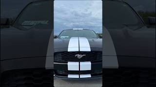 Franjas para Mustang blancas vinil wrap Arlon Mazatlan Sinaloa México [upl. by Carlile489]