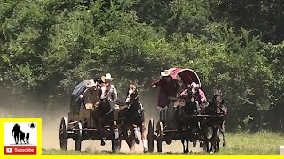 Classic Wagon Races  What About Bob Chuckwagon Races 2022  Sunday [upl. by Ardnoid]