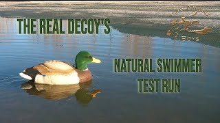 The Real Decoy Natural Swimmer Test Run [upl. by Otrebor]