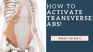 How To Activate The Transversus Abdominis TA Muscle amp Strengthen It [upl. by Elman359]