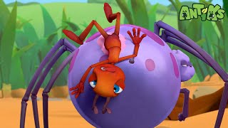 Sticky Situations  Funny Cartoons For All The Family  Funny Videos for kids  ANTIKS 🐜🌿 [upl. by Alecram]