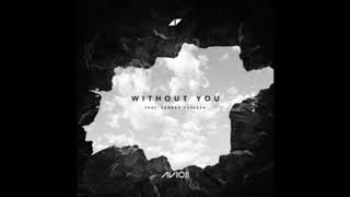 Avicii ft Sandro Cavazza  Without You Clean Radio Edit  OFFICIAL [upl. by Ahsile]