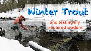 Winter Fly Fishing for Trout  Testing my repaired Patagonia waders [upl. by Bobker670]