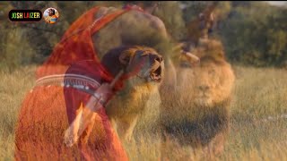 Maasai vs Lion Osinkolio Loongwesi [upl. by Si]