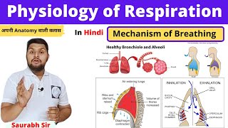 Mechanism of RespirationPhysiology of respiration in Hindi inspiration expirationNursing NEET [upl. by Rocca]