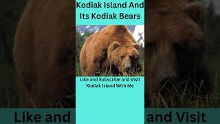 Kodiak Islands KODIAK BEARS shorts [upl. by Av]