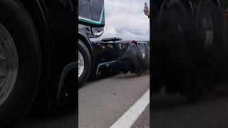 Ciney truck show 2024  Trucks leaving V8 Scania Airhorns trucking [upl. by Hauger920]