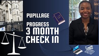 Pupillage Progress 3Month CheckIn [upl. by Anelrats]