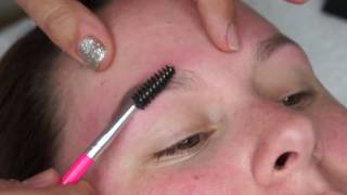 PONi Cosmetics Mane Stain Zebra and Brow POP application [upl. by Josie866]