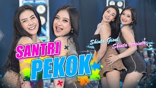 Shinta Arsinta feat Shinta Gisul  Santri Pekok Official Music Video  STAR MUSIC [upl. by Ailak850]