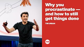 Why you procrastinate  and how to still get things done  Tim Urban [upl. by Tabshey]