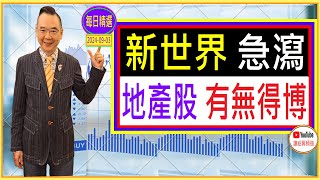 新世界 急瀉 地產股 有無得博？  每日精選 20240903 [upl. by Standish]