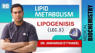 Lipid Met  lec5  FA synthesis amp Lipogenesis [upl. by Rafaj570]