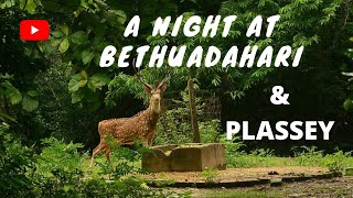 Bethuadahari and Plassey  Bethuadahari Forest Guest House  Bethuadahari Wildlife Sanctuary [upl. by Akkinahs369]