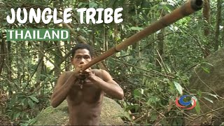 Sakai Tribe  Thailands indigenous Jungle Dwellers [upl. by Regdirb]