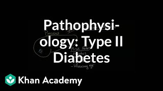 Pathophysiology  Type II diabetes  Endocrine system diseases  NCLEXRN  Khan Academy [upl. by Gracie]