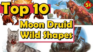 Top 10 Best Moon Druid Wild Shapes in DnD 5E [upl. by Aserej]