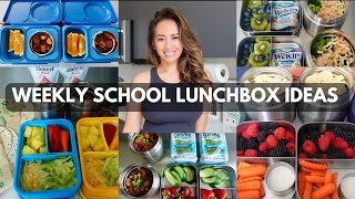 BACK TO SCHOOL WEEKLY SCHOOL LUNCHBOX IDEAS  Week 5 [upl. by Thetes]