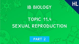 IB Biology Topic 114 HL Sexual reproduction  Part 2 [upl. by Oregolac]