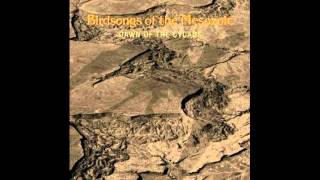 Birdsongs Of The Mesozoic  Ptoccata [upl. by Ardnusal]