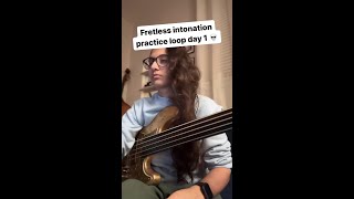 GET STARTED ON FRETLESS BASS 💥🔥 [upl. by Anitsej]