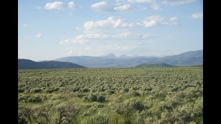 An intro to Sagebrush ecosystems and Basin Big Sagebrush [upl. by Ymiaj]