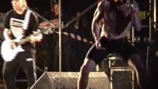 Rollins Band  Liar Hultsfred Festival 1993 [upl. by Fortune446]