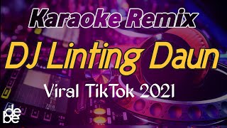 Karaoke Dj Linting Daun Remix Viral TikTok 2021 [upl. by Colson]