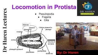 Locomotion in Protista [upl. by Hansen700]